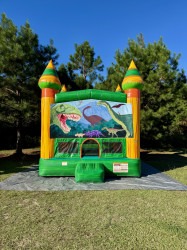 Dino Jump Bouncer