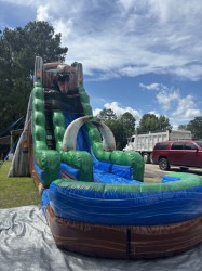 IMG 2977 1785884142 22ft Jurassic Rush